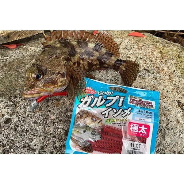 ガルプ！ソルトウォーターイソメ　極太　4インチ